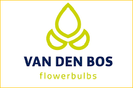 Hồ sơ công ty cung cấp củ giống hoa ly ở Hà Lan (P7)